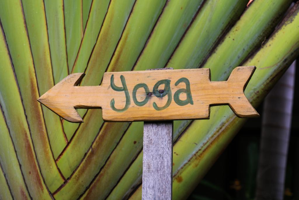Matra Bali Guesthouse Canggu Zewnętrze zdjęcie